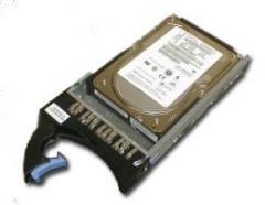 (41Y8236) HDD 1000GB (1TB) HS SATA II for Server Only