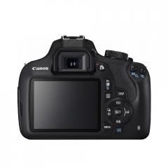 Canon EOS 1200D + EF-s 18-55 IS II