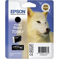 Epson T096 Photo Black Cartridge - Retail Pack (untagged) for Epson Stylus Photo R2880
