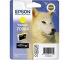 Epson T096 Yellow Cartridge - Retail Pack (untagged) for Epson Stylus Photo R2880