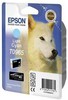 Epson T096 Light Cyan Cartridge - Retail Pack (untagged) for Epson Stylus Photo R2880