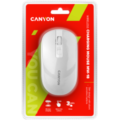 CANYON MW-18