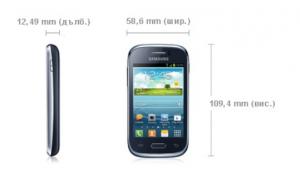 Samsung Smartphone GT-S6310 GALAXY YOUNG Black