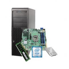 Server Intel