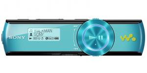 Sony NWZ-B173FL 4GB memory