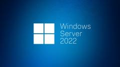 Windows Server CAL 2022 English 1pk DSP OEI 1 Clt User CAL