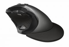 TRUST Vergo Wireless Ergonomic Comfort Mouse