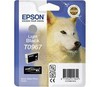 Epson T096 Light Black Cartridge - Retail Pack (untagged) for Epson Stylus Photo R2880