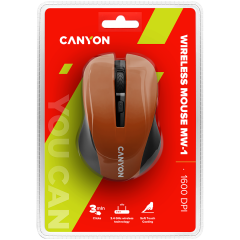 CANYON MW-1