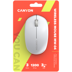 CANYON MW-04