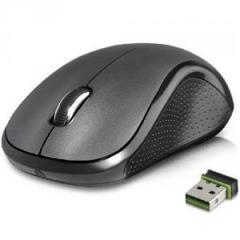 Input Devices - Mouse DELUX DLM-123GB (Wireless 2400MHz 1000dpi)