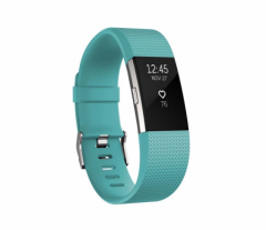 Fitbit Charge 2 Teal Silver - Large