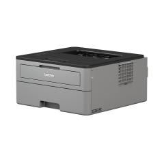 Brother HL-L2312D Laser Printer