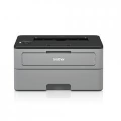 Brother HL-L2352DW Laser Printer