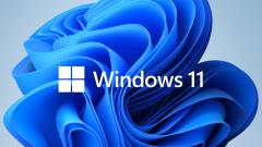 MS 1x Windows 11 Home 64-Bit DVD OEM English International (EN)