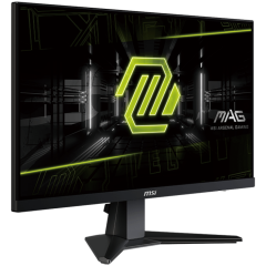 MSI MAG 256F Gaming Monitor