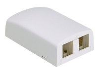 2 position surface mount box for NetKey  modules international white