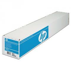 HP Professional Satin Photo Paper-1118 mm x 15.2 m (44 in x 50 ft)