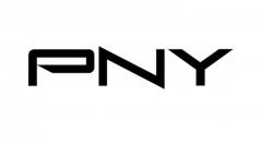 PNY miniDP to DVI-D SL (96mm)