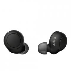 Sony Headset WF-C500